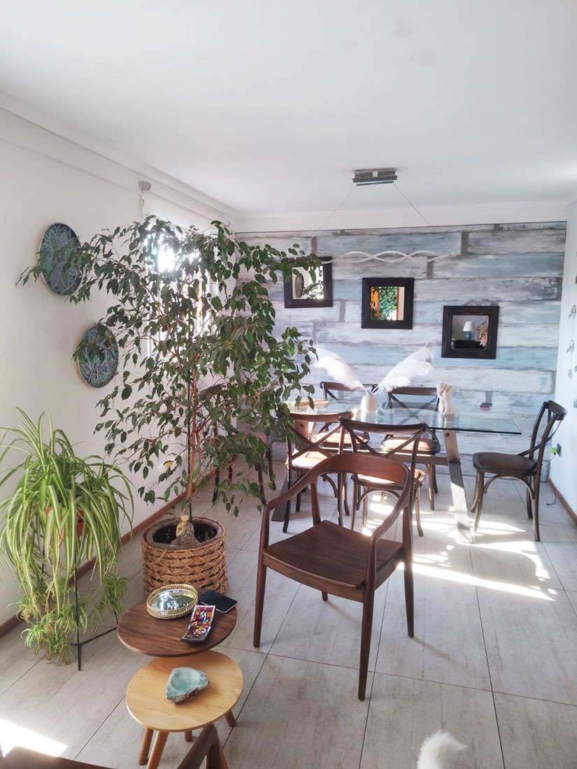   Francisco de Villagra - La Reina