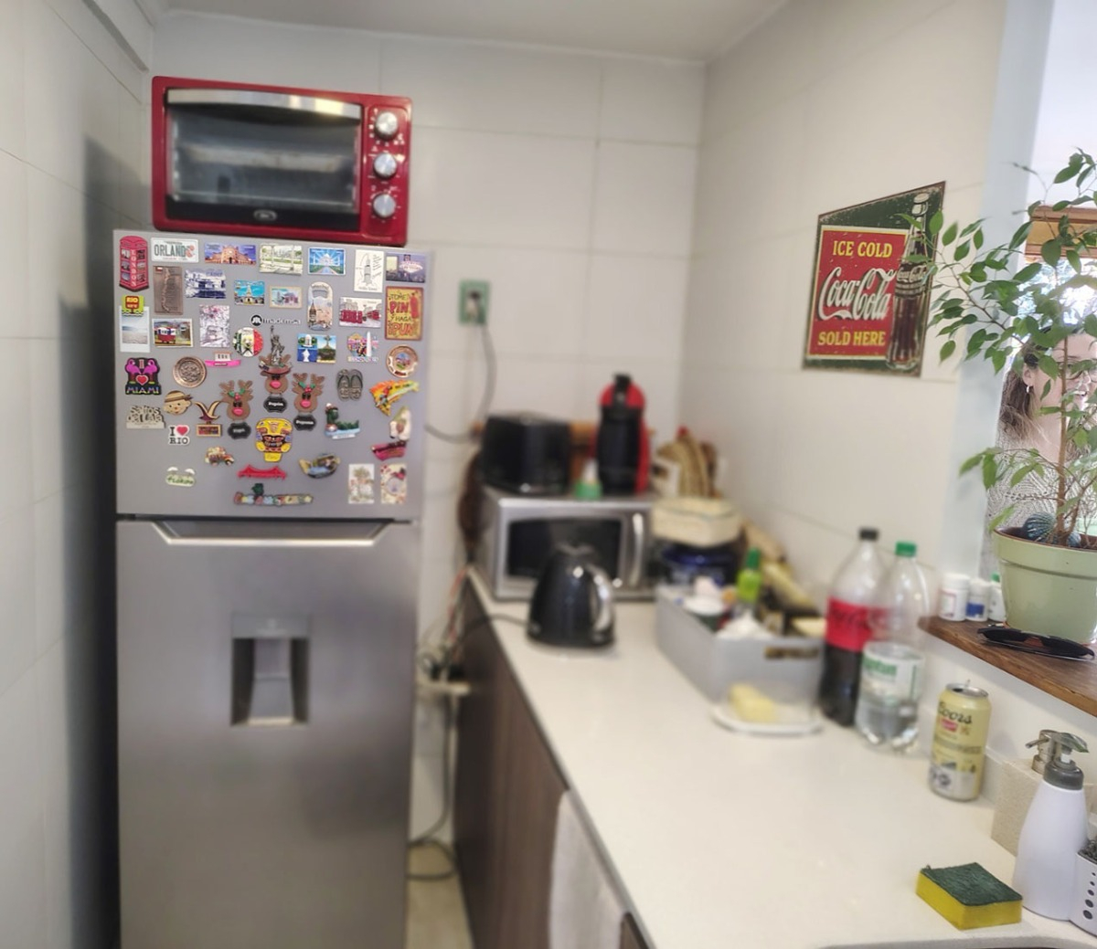   Francisco de Villagra - La Reina