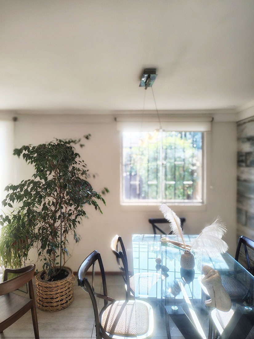   Francisco de Villagra - La Reina